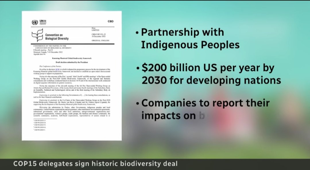 Historic biodiversity deal is signed @COP15 Kunming Montreal - TISANDE