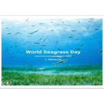 Seagrass | World Seagrass Day | 1 March
