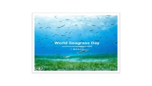 Seagrass | World Seagrass Day | 1 March