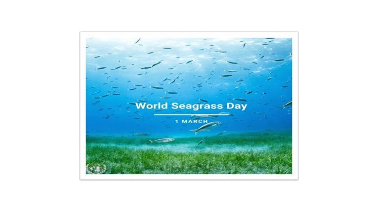 Seagrass | World Seagrass Day | 1 March