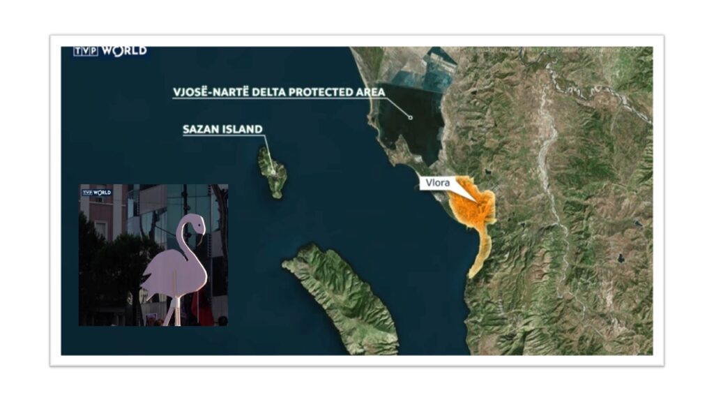 Why Flamingos take part in Albania’ protest