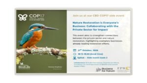 Nature Restoration Is Everyone’s Business | COP17 Armenia